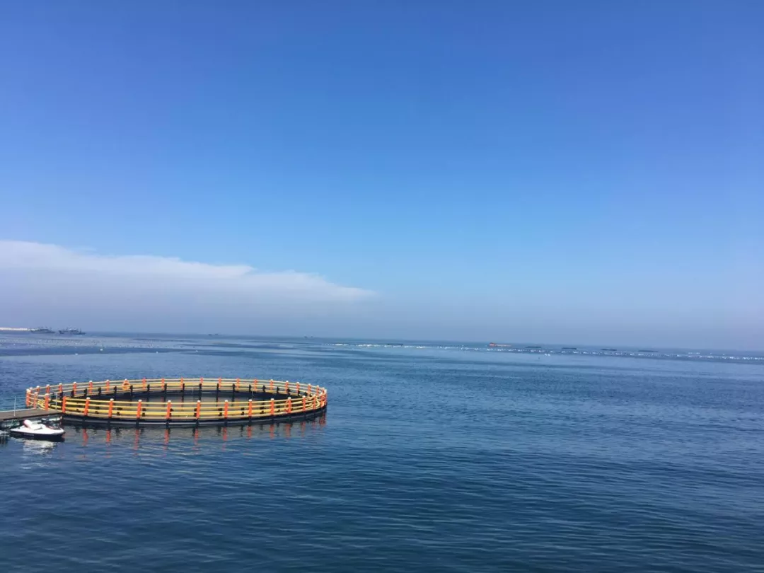 威海二日游，共享夏日情